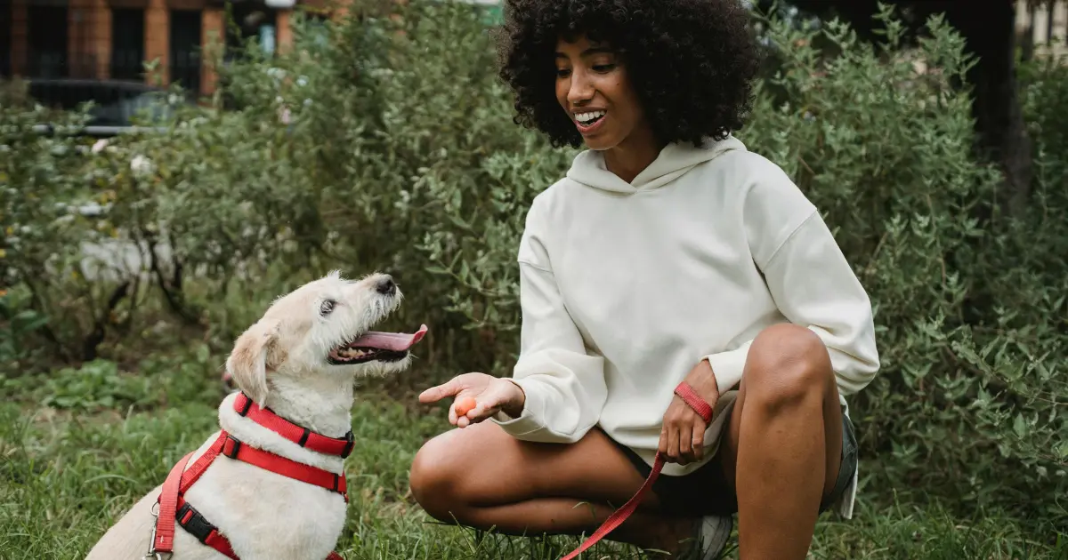 How to Toilet Train a Puppy in 7 Days