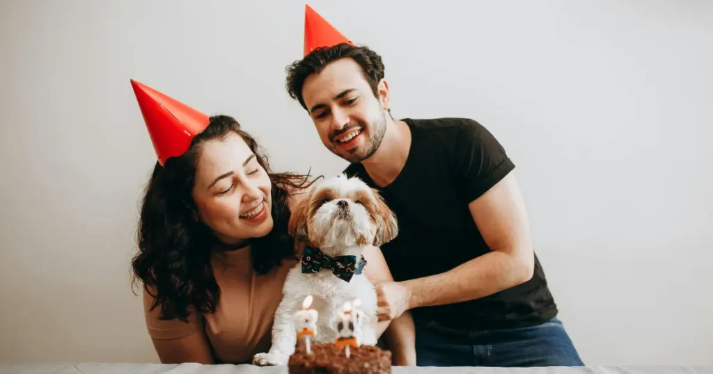 dog birthday cake recipe